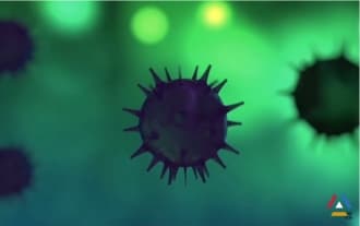Hantavirus. New dangerous virus in China
