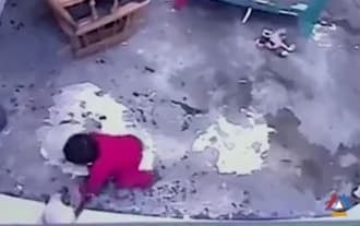 Cat saves toddler from falling down
