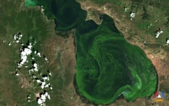 Lake Sevan is 'blooming'. What is the reason?
