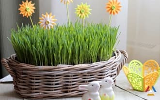 Easter Grass in 10 days