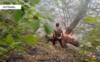 Forest fires broke out in Azerbaijan