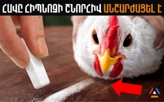8 Interesting Facts About Animals | Chicken hypnosis