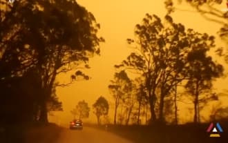 Wildfires are intensifying around the world while governments are unprepared. UN